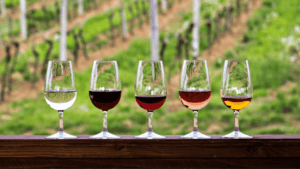 ruta vino costa dorada